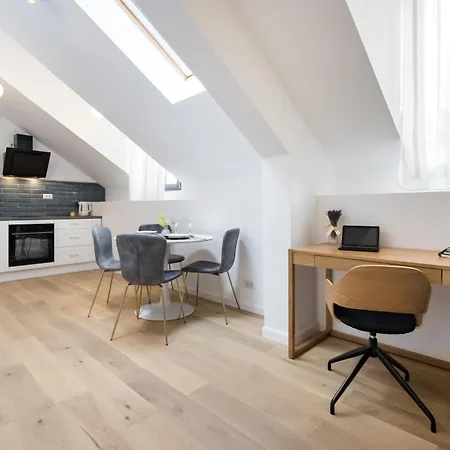 Luxury Lofts By Carmen Sylva Apartment