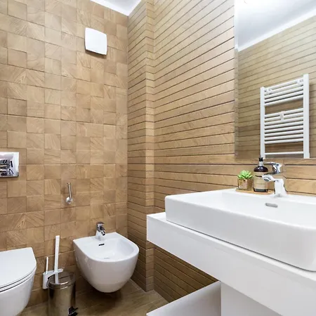 Luxury Lofts By Carmen Sylva Apartment